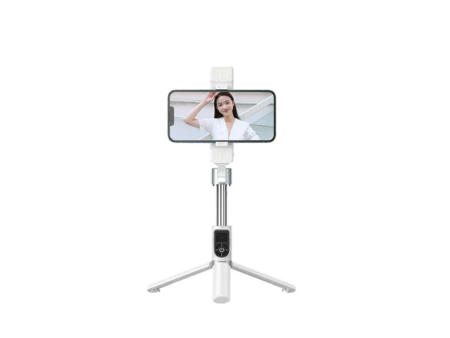 REMAX P13 Live-stream Holder With Dual-light(White) Discount