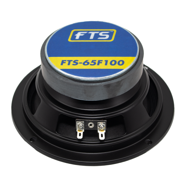 FTS 65F100 6.5  100W Loose Speaker Discount