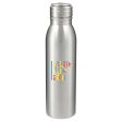 Vida 24oz Stainless Steel Bottle Discount