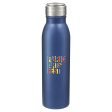 Vida 24oz Stainless Steel Bottle Discount