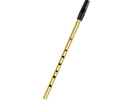 LAMOUR PENNY WHISTLE KEY D - GOLD [LPW-G] Sale