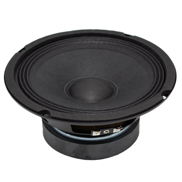 FTS 65F100 6.5  100W Loose Speaker Discount