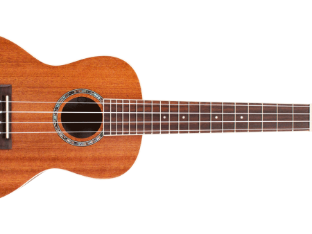 Cordoba 15CM Concert Ukulele - Mahogany Fashion