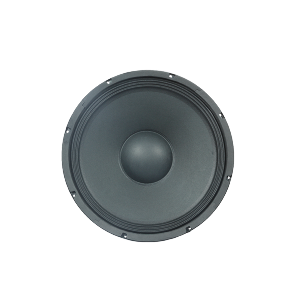 FTS 65F100 6.5  100W Loose Speaker Discount