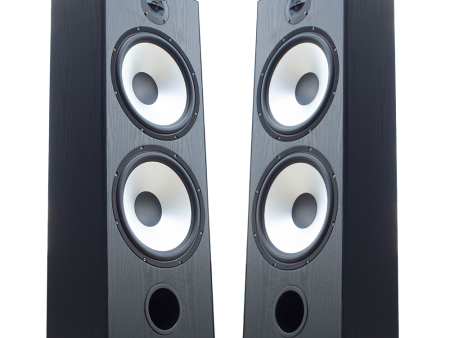 FTS 12   Dual Passive Speaker Pair Black [FTS -D12 BK] Discount