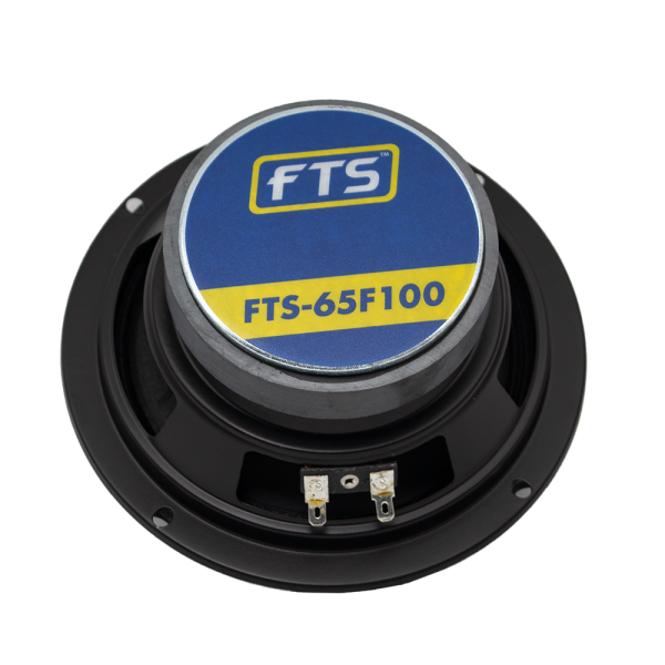 FTS 65F100 6.5  100W Loose Speaker Discount