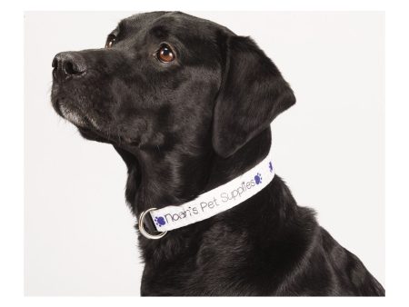 Full Color 1  Wide Adjustable Pet Collar Sale