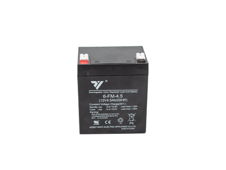 Tianyi 12V 4.5AH Battery F2 Black Online Sale