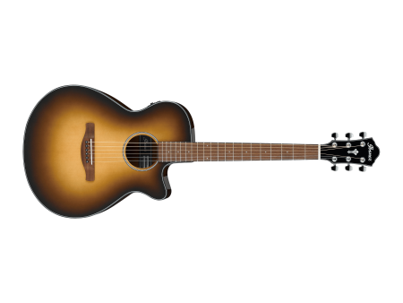 Ibanez AEG50-DHH Acoustic Electric Guitar Online Sale